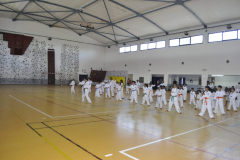 DSC0385-scaled