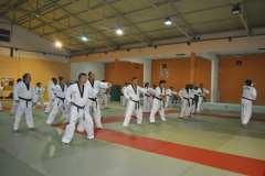 DSC0525-scaled