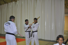 DSC0565-scaled
