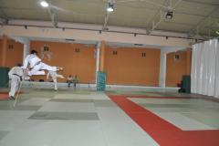 DSC0598-scaled