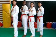 s_TKD3